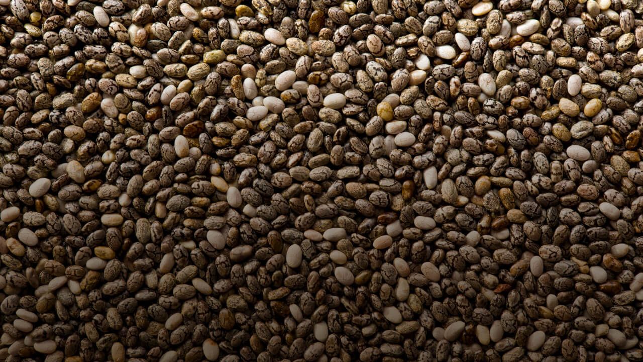 Un profesor de ingeniería Industrial optimiza la siembra de maíz, quinua, amaranto y chía.