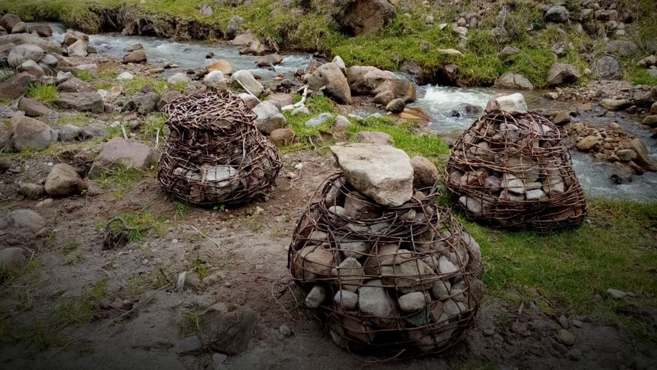 Proyecto para crear disipadores de energía con bejuco