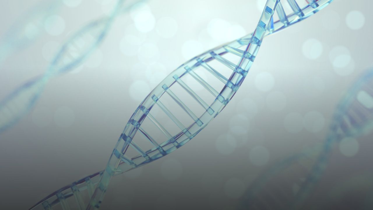 Laboratorio de Neurogenética