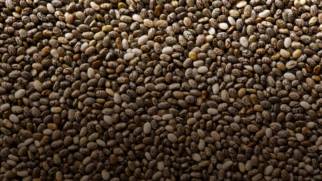 Un profesor de ingeniería Industrial optimiza la siembra de maíz, quinua, amaranto y chía.