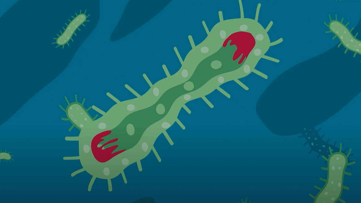 que-hace-un-ingeniero-ambiental-uniandes