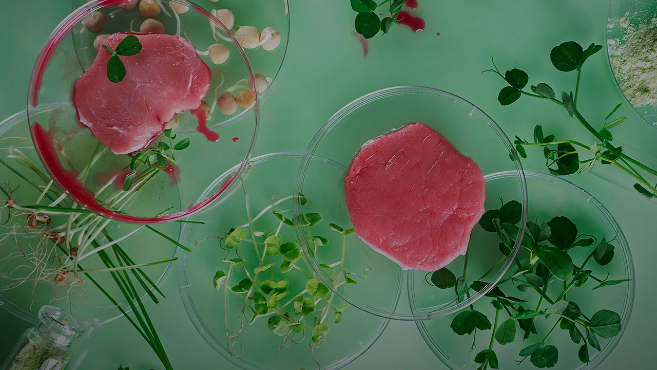 Laboratorio de Prototipado de Alimentos, Departamento de Ingeniería Química y de Alimentos, Universidad de los Andes.