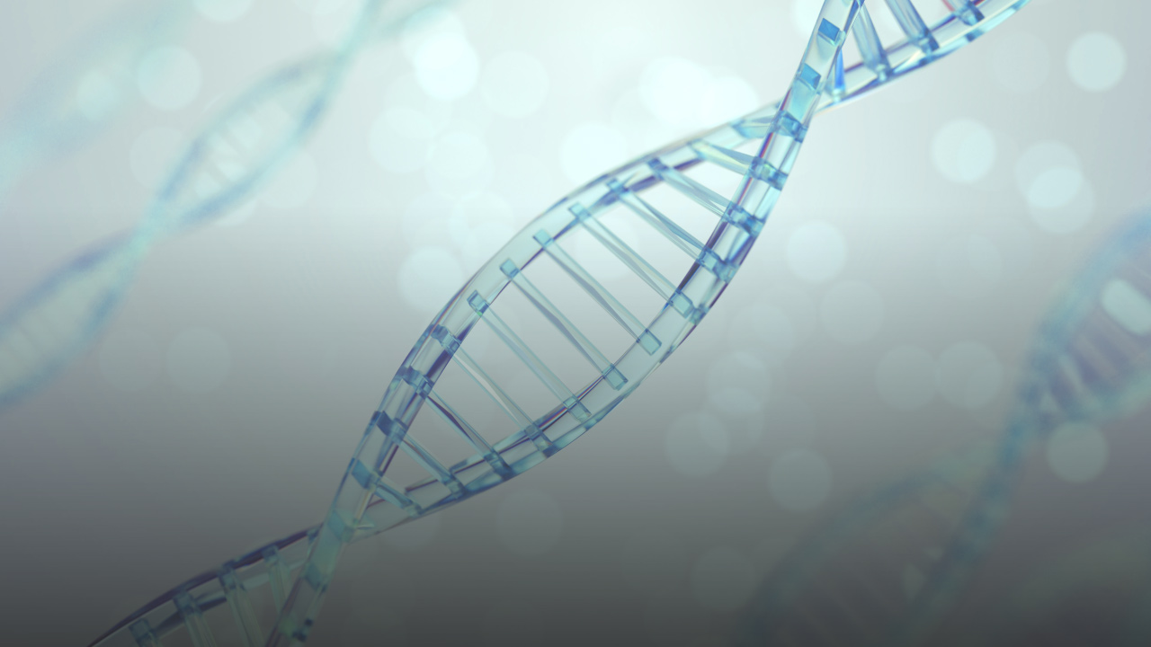 Laboratorio de Neurogenética