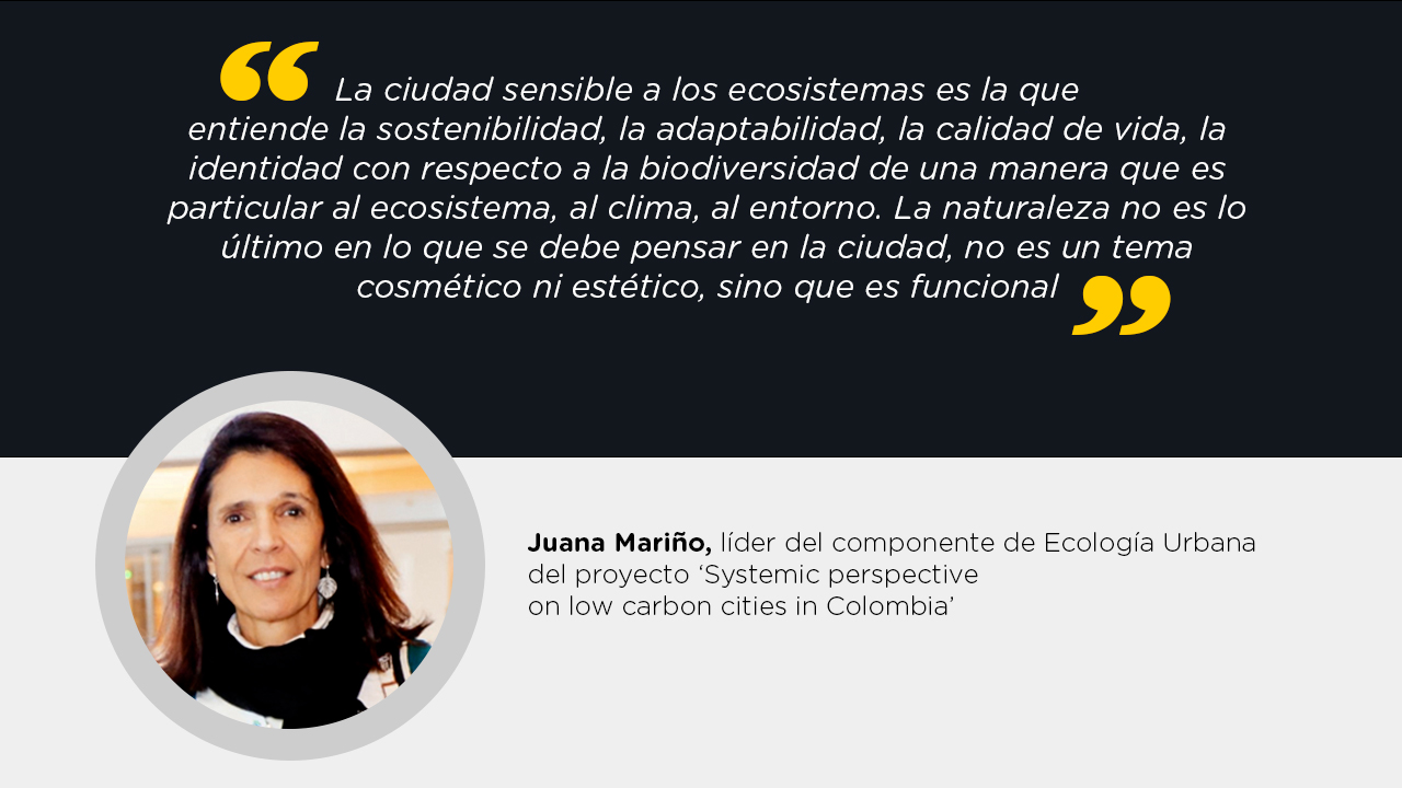 Juana Mariño, líder Componente "Ecología Urbana", proyecto "Systemic perspective on low carbon cities in Colombia" en Universidad de Los Andes - UKPact